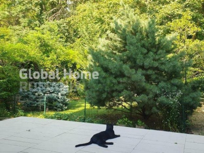 Casa 5 cam 130MP | Baneasa | Curte | Utilata si mobilata | 2 locuri parcare |